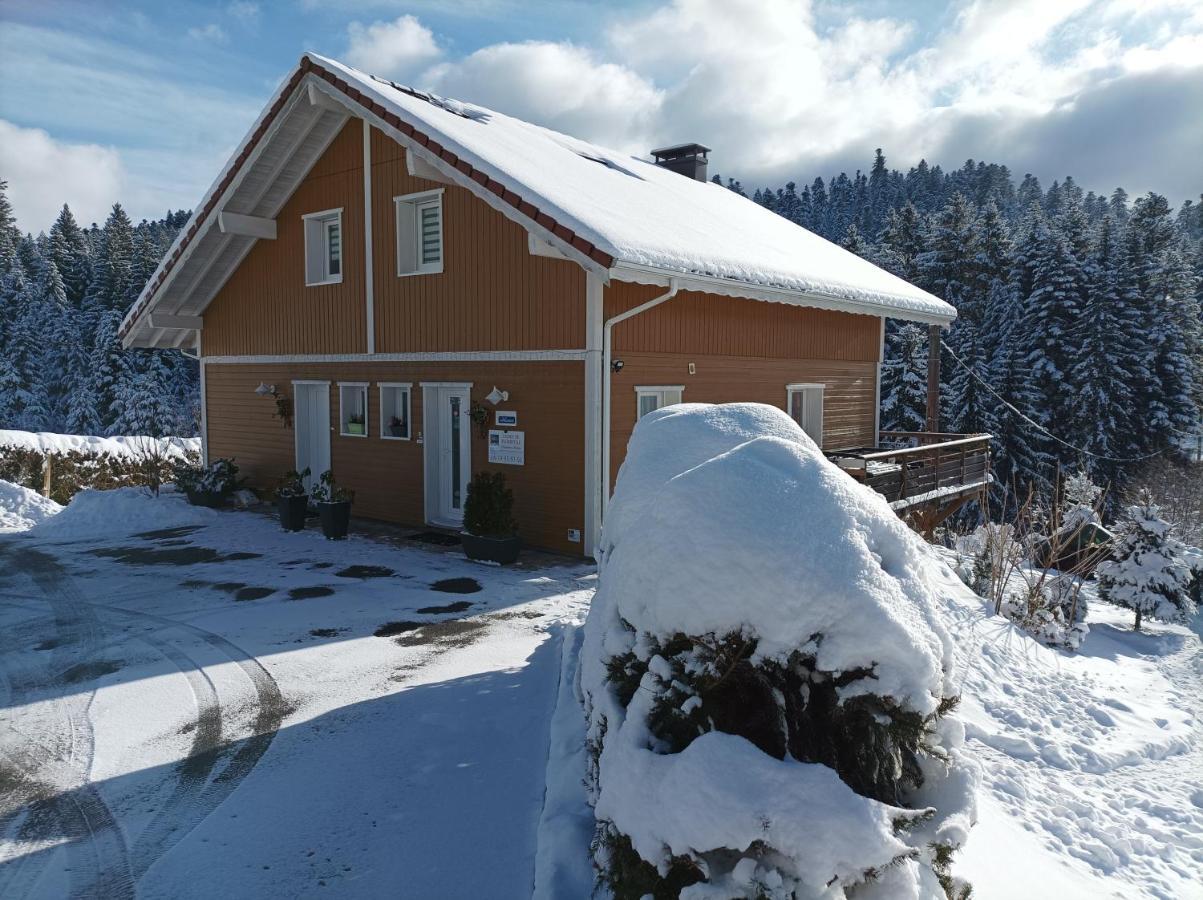 종루프 롱지메르 L'Eden De Floridylle B&B 외부 사진