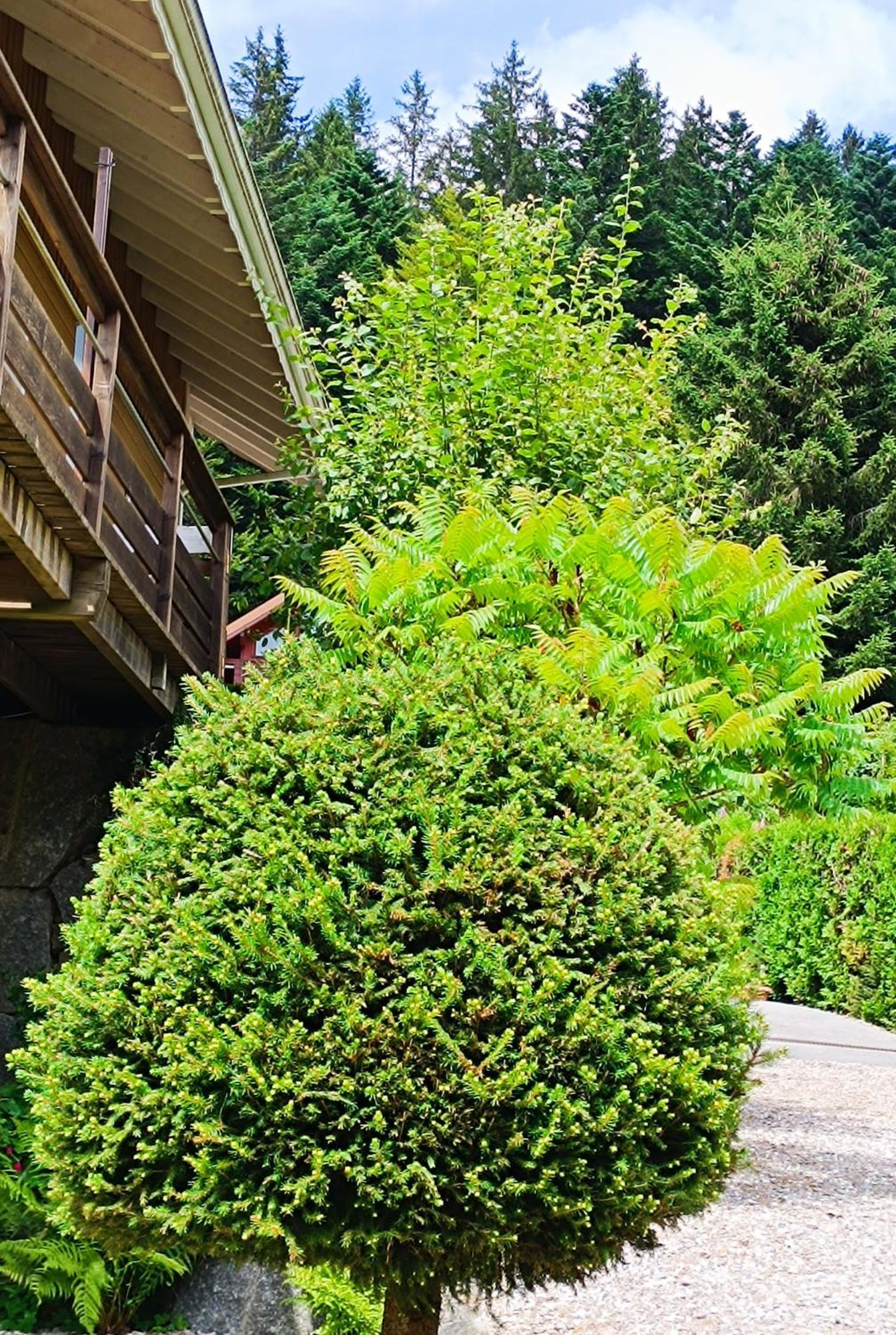종루프 롱지메르 L'Eden De Floridylle B&B 외부 사진